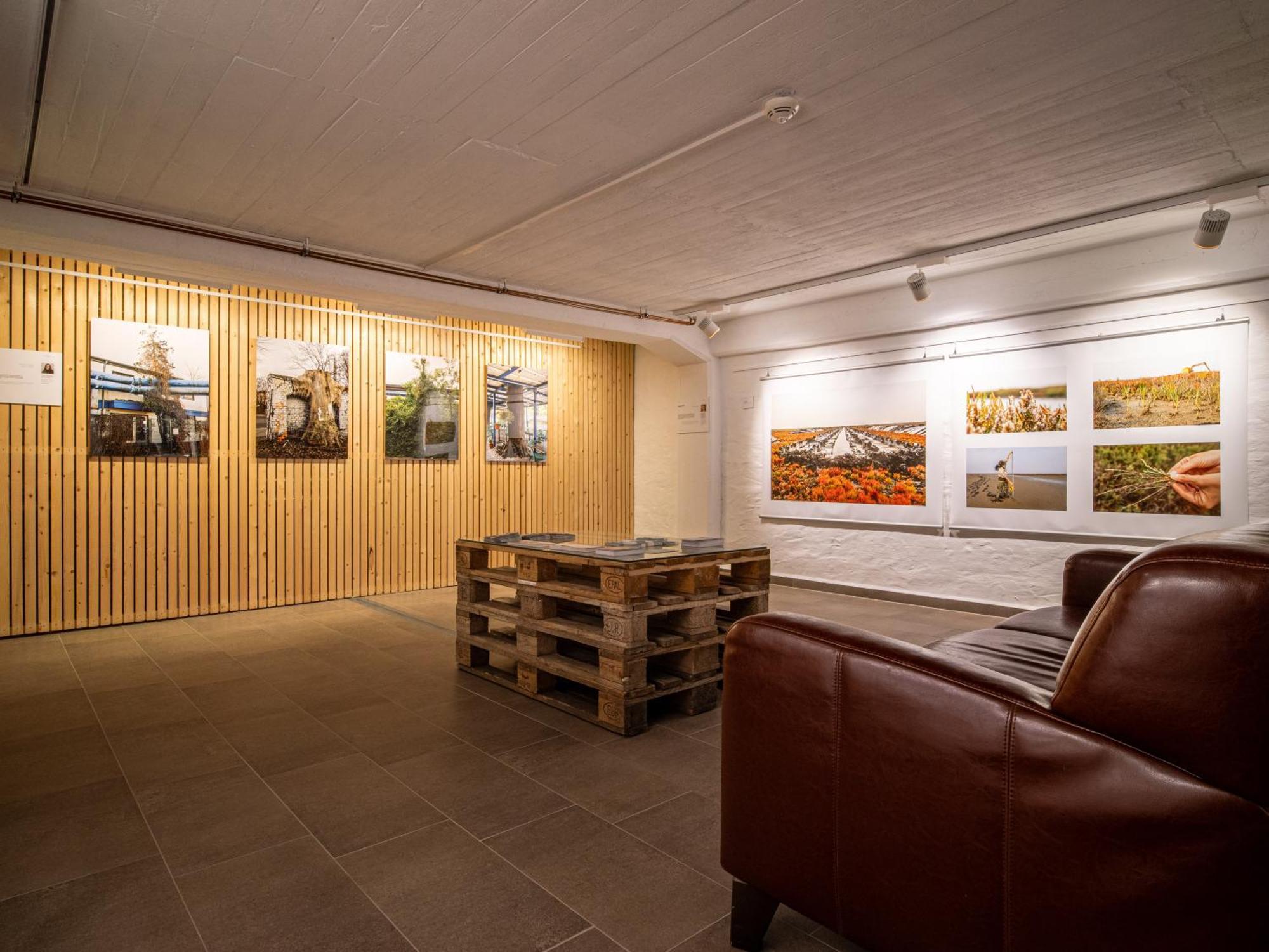 Hotel Stone Zingst Eksteriør bilde